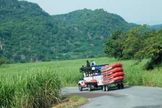 Vamos camino a la aventura